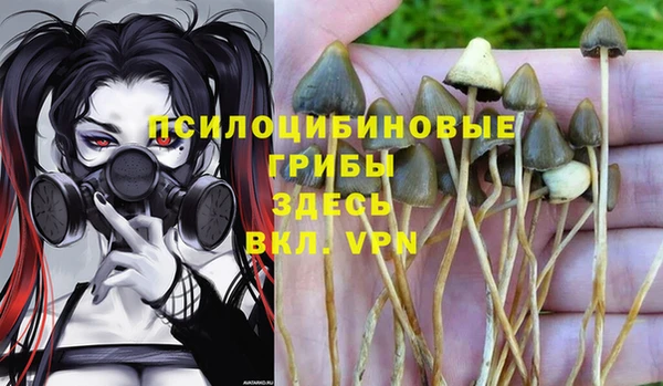 герыч Волосово