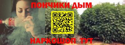 jwh Можга