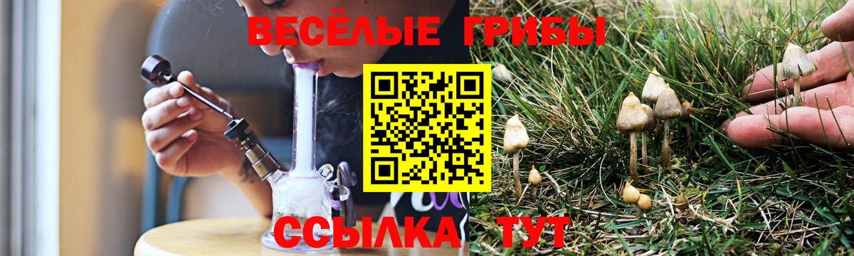 Псилоцибиновые грибы мухоморы Саратов