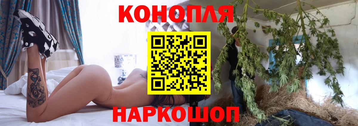 Бошки марихуана Ganja  Бошки марихуана план  Каннабис SATIVA & INDICA  Шишки марихуана SATIVA & INDICA  Саратов  Вход с VPN 